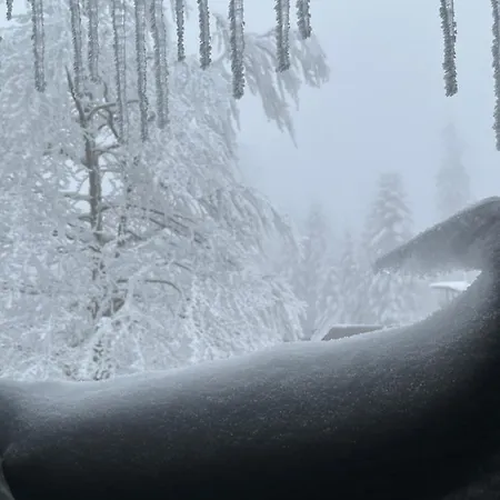 Apartment4two Apartment *